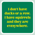 Laugh Out Loud Sticker I don't have ducks or a row. I have squirrels and they are everywhere – 3” x 3” Waterproof Vinyl Decals